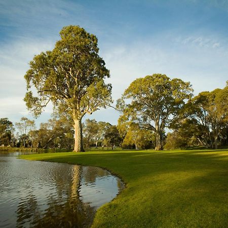 Serafino Mclaren Vale Exteriör bild