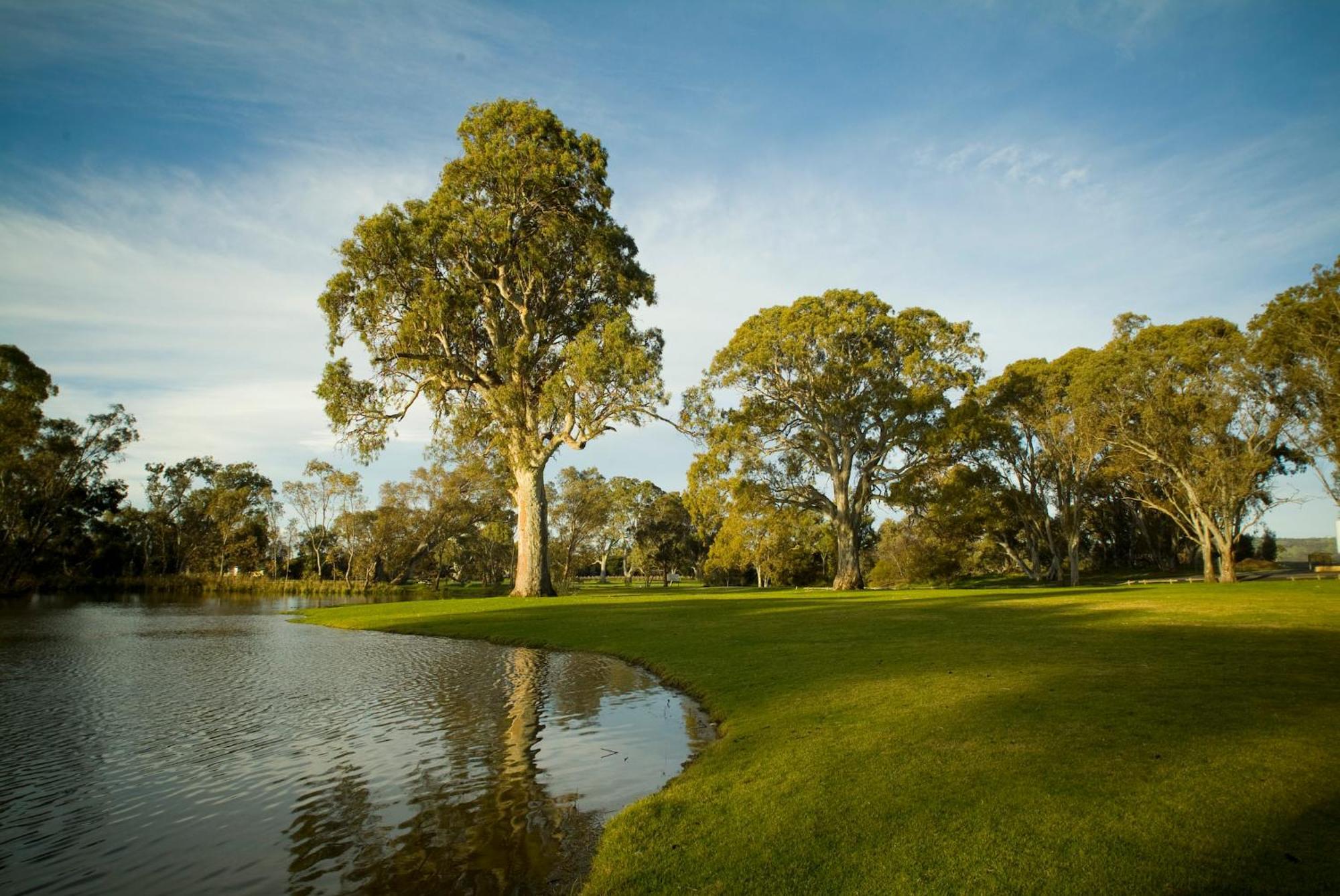 Serafino Mclaren Vale Exteriör bild