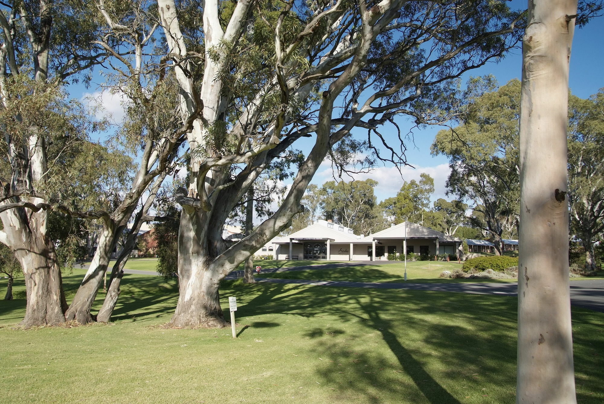 Serafino Mclaren Vale Exteriör bild